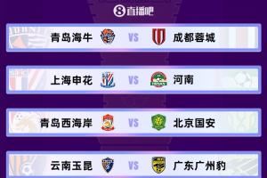 1/4决赛对阵：申花vs河南 海牛vs蓉城 西海岸vs国安 玉昆vs广州豹